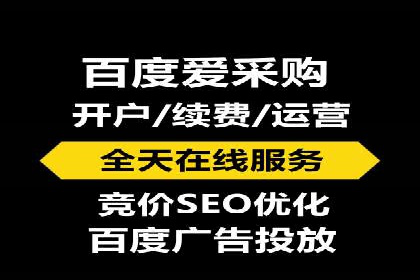 百度SEO推广公司经典之作：打造行业领先品牌
